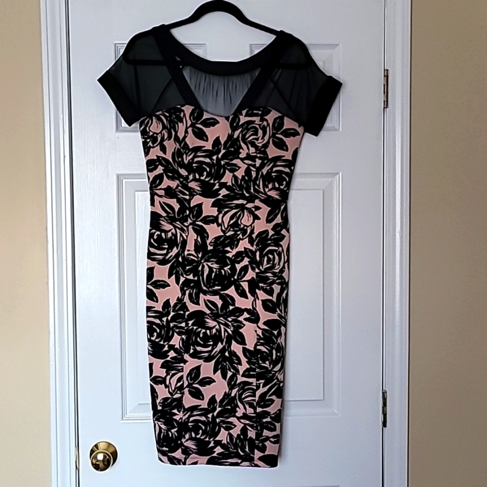 BLACK Sheer Pale Pink Textured Formal Dress 6